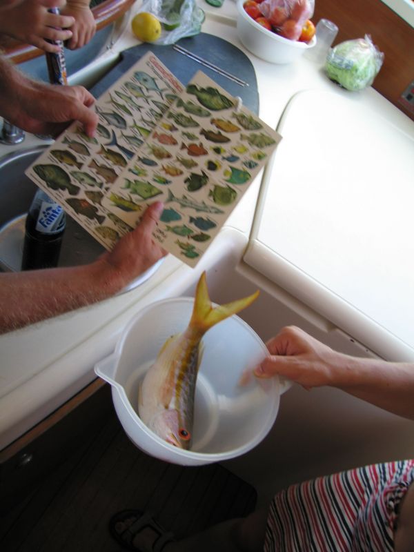 bz20050711_150948.jpg