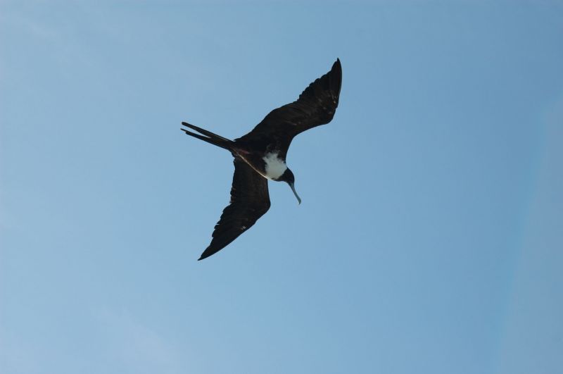 bz20050713_145246.jpg