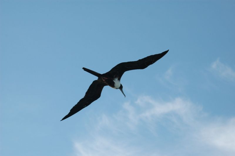bz20050713_145256.jpg