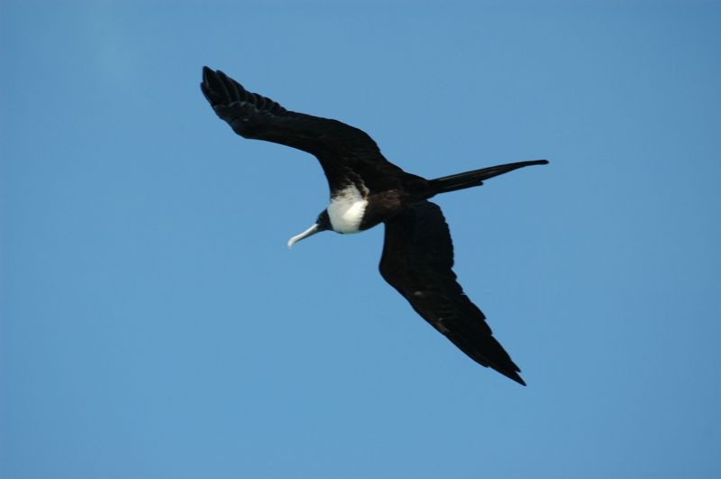 bz20050713_145334.jpg