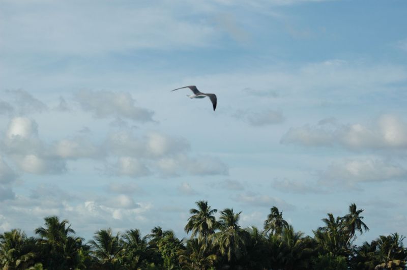 bz20050713_145412.jpg
