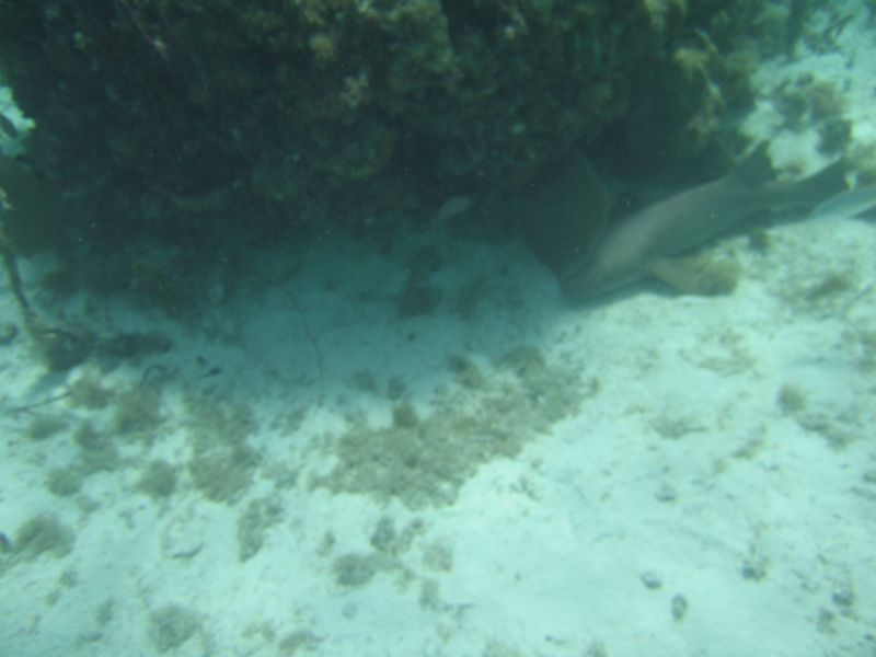 bz20050714_125956.jpg