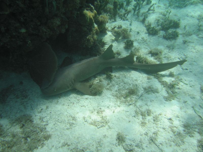 bz20050714_130152.jpg
