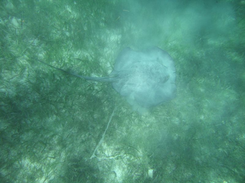 bz20050714_134616.jpg