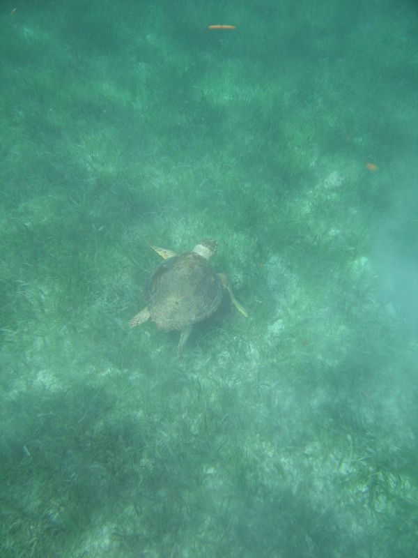 bz20050714_134654.jpg