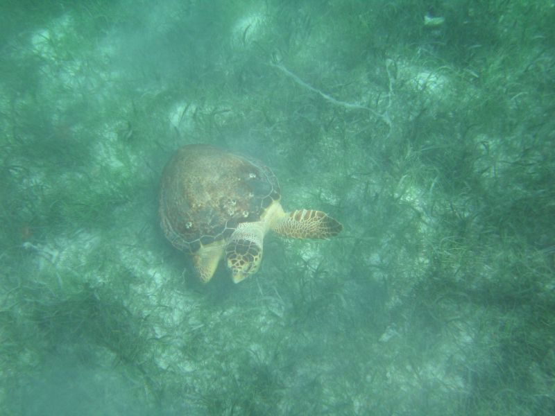 bz20050714_134714.jpg