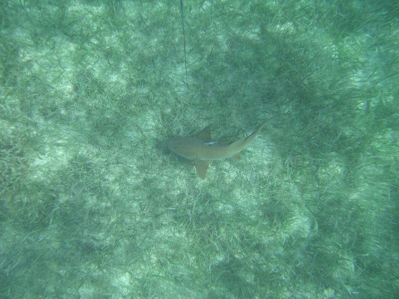 bz20050714_134736.jpg