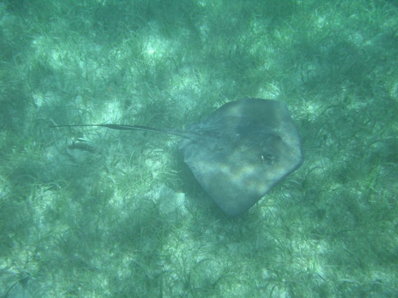 bz20050714_134950.jpg