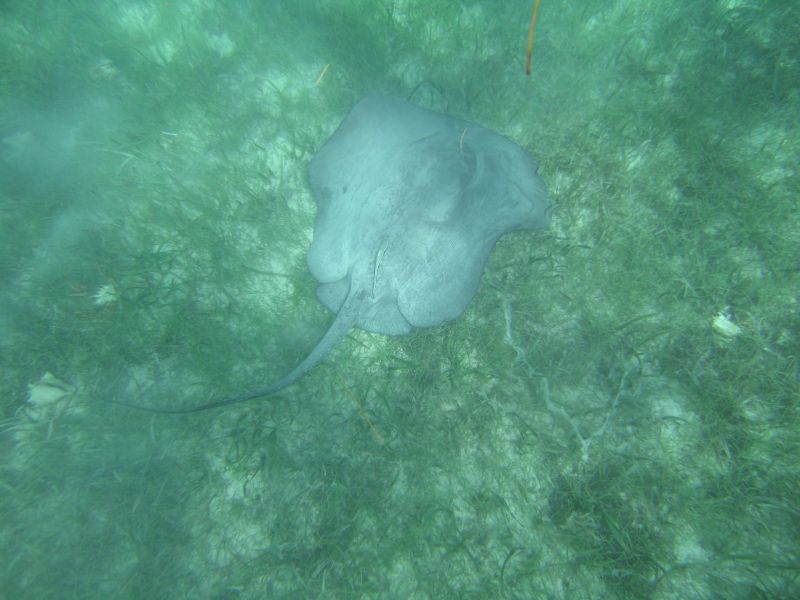 bz20050714_135054.jpg