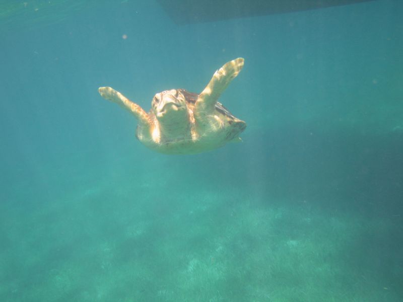 bz20050714_135120.jpg