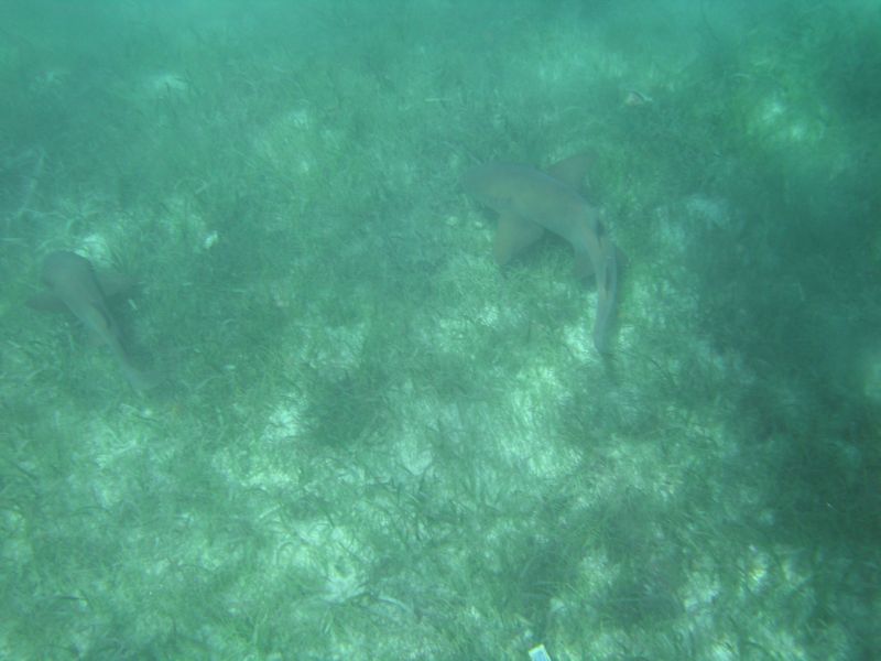 bz20050714_135252.jpg