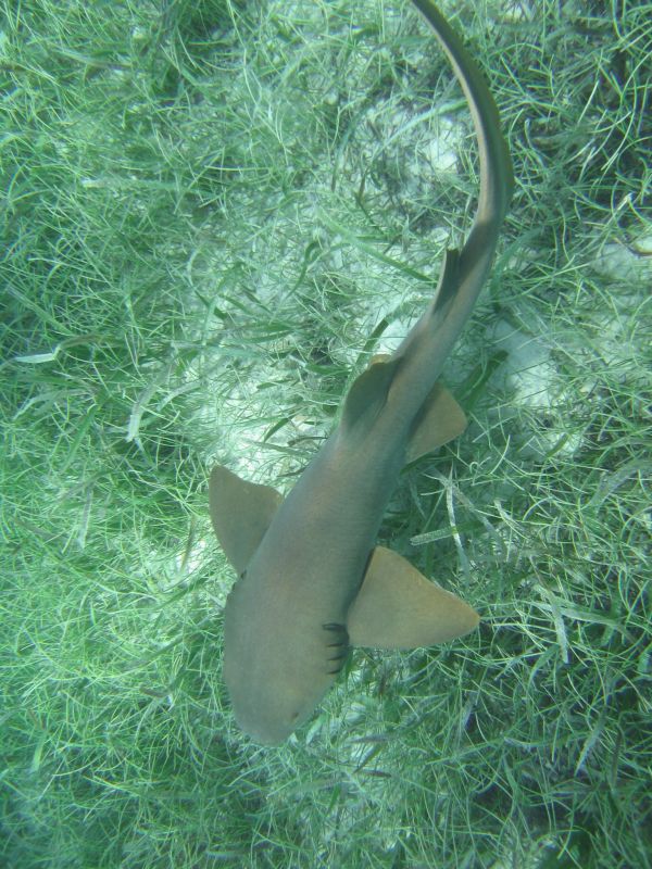 bz20050714_135418.jpg