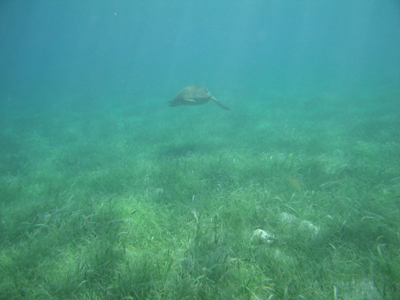 bz20050714_135636.jpg