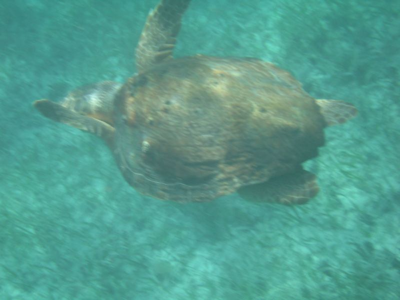 bz20050714_135718.jpg