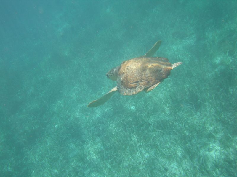 bz20050714_135732.jpg