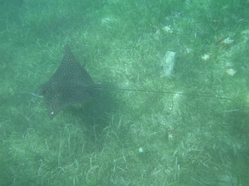 bz20050714_140000.jpg