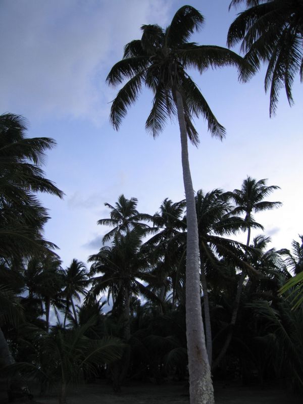 bz20050714_172712.jpg