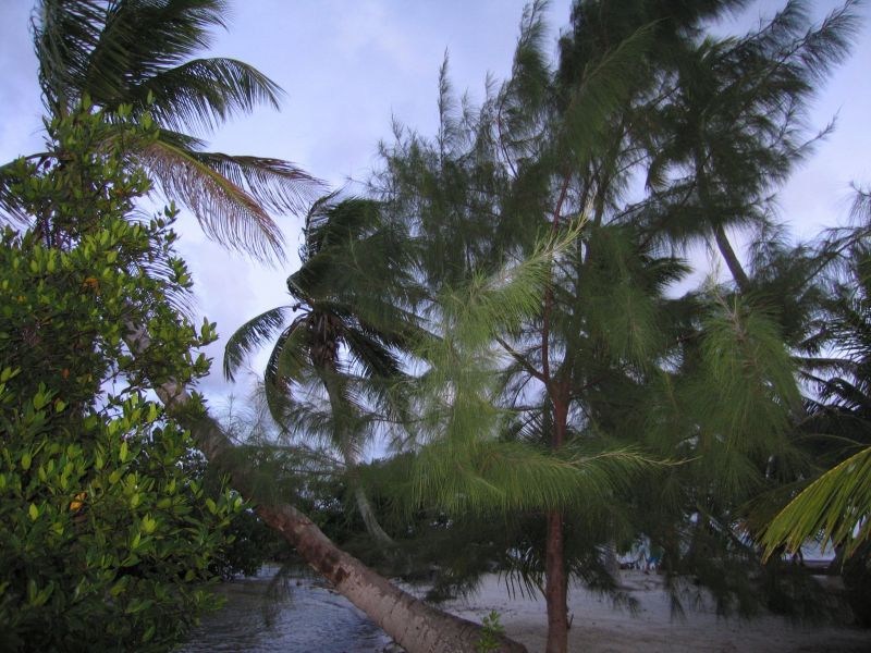 bz20050714_172816.jpg
