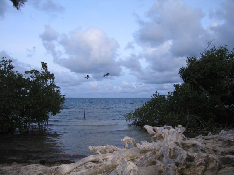 bz20050714_172918.jpg