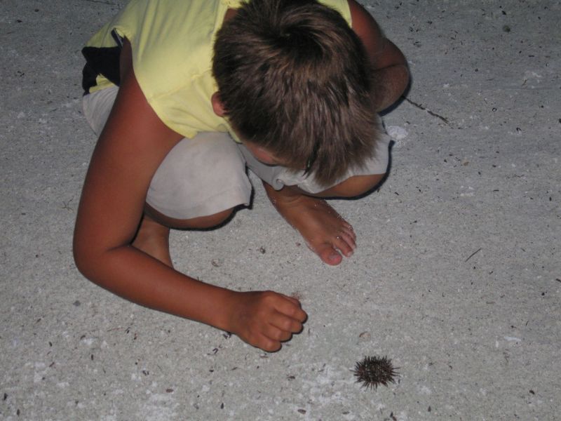 bz20050714_173642.jpg