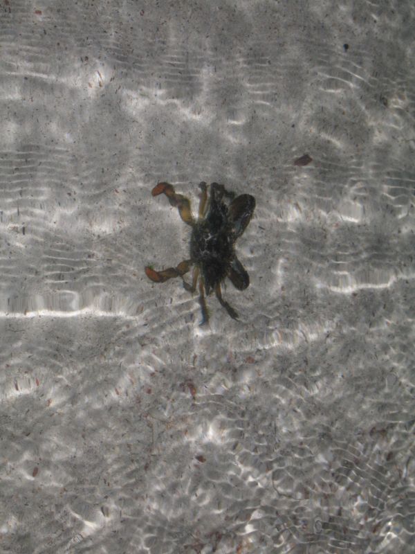 bz20050714_173804.jpg