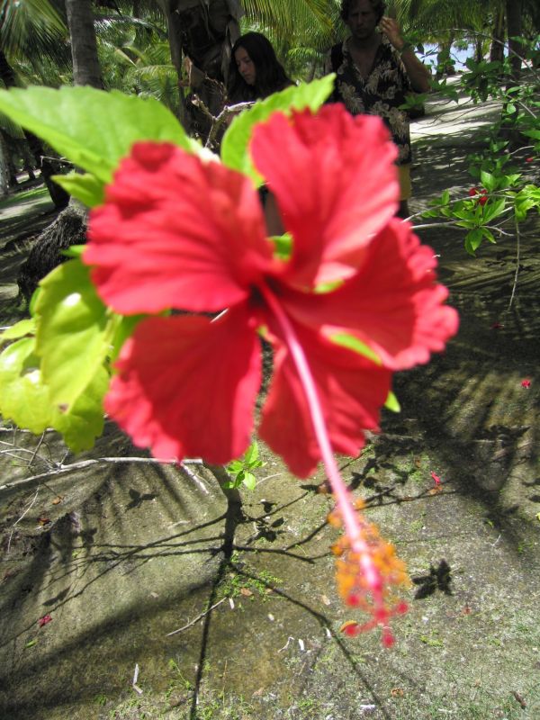 bz20050715_112058.jpg