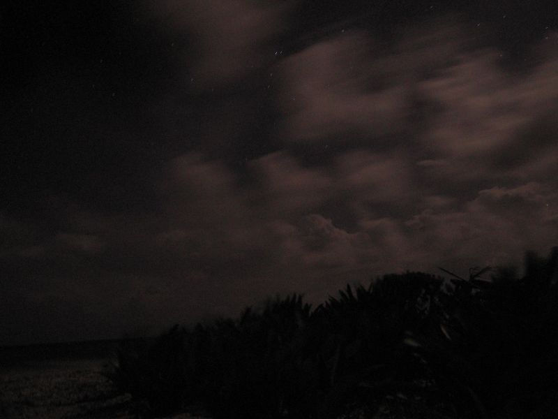 bz20050715_193310.jpg