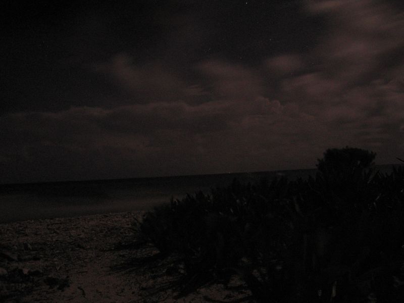 bz20050715_193504.jpg