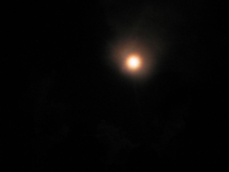 bz20050715_200328.jpg
