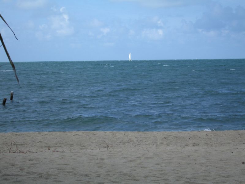 bz20050716_154646.jpg