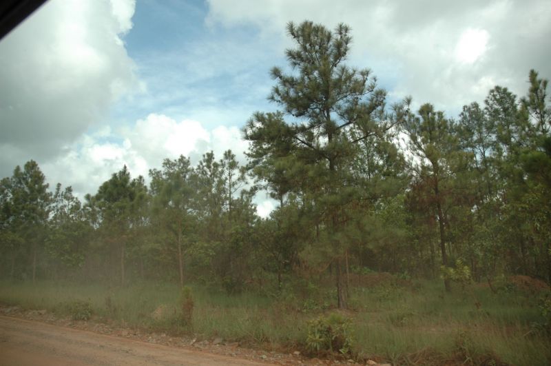 bz20050717_064304.jpg