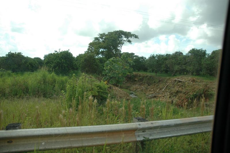 bz20050717_070134.jpg