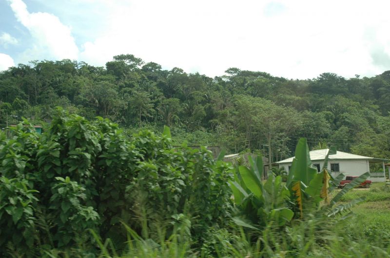 bz20050717_075048.jpg