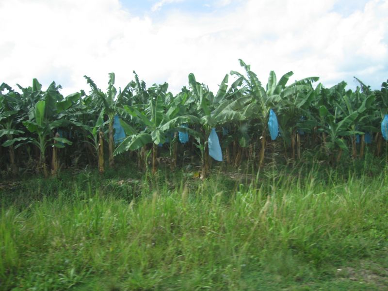 bz20050717_075352.jpg