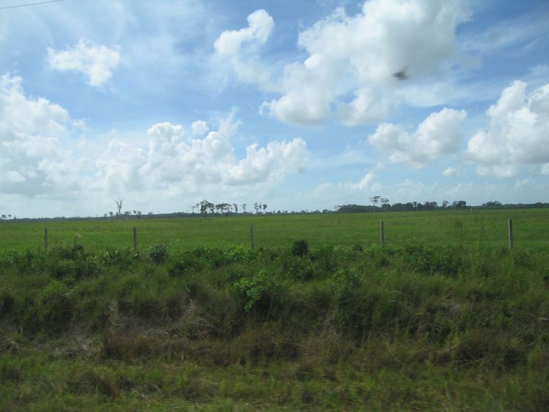 bz20050717_080518.jpg