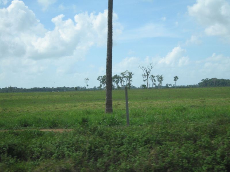 bz20050717_080526.jpg