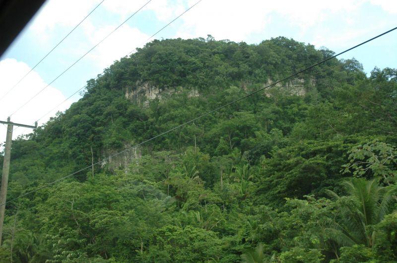 bz20050717_081636.jpg