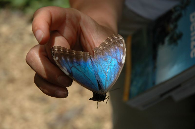 bz20050717_102746.jpg