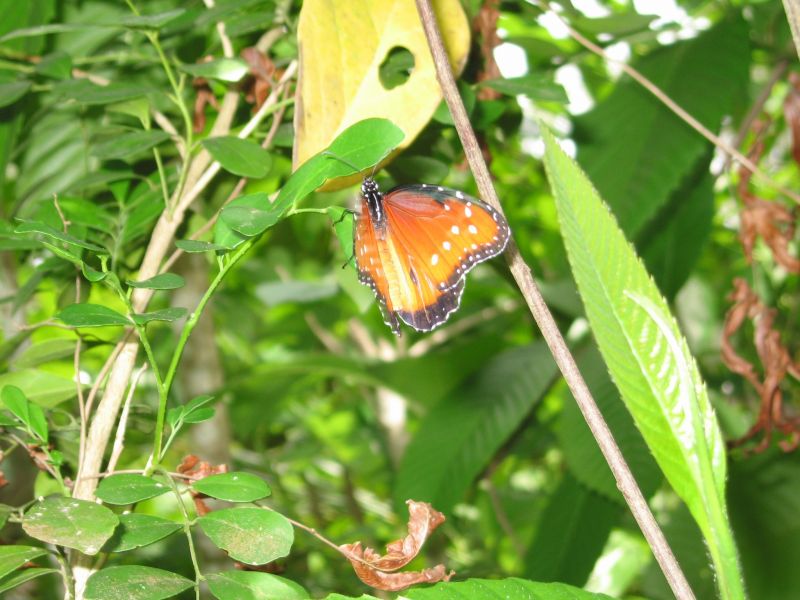 bz20050717_111056.jpg