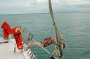 bz20050703_132810.jpg