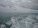 bz20050703_161830.jpg