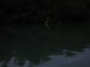 bz20050703_162746.jpg