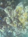 bz20050706_101344.jpg