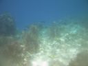 bz20050706_103622.jpg