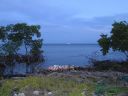 bz20050706_163306.jpg