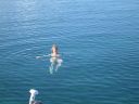 bz20050707_064452.jpg