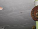 bz20050708_183038.jpg