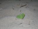 bz20050708_200340.jpg