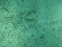 bz20050709_131750.jpg