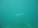 bz20050709_132634.jpg